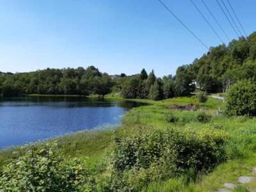 Flotte turområder like ved. Her er Birkelandsvatnet. Et populært turområde. Galleribilde