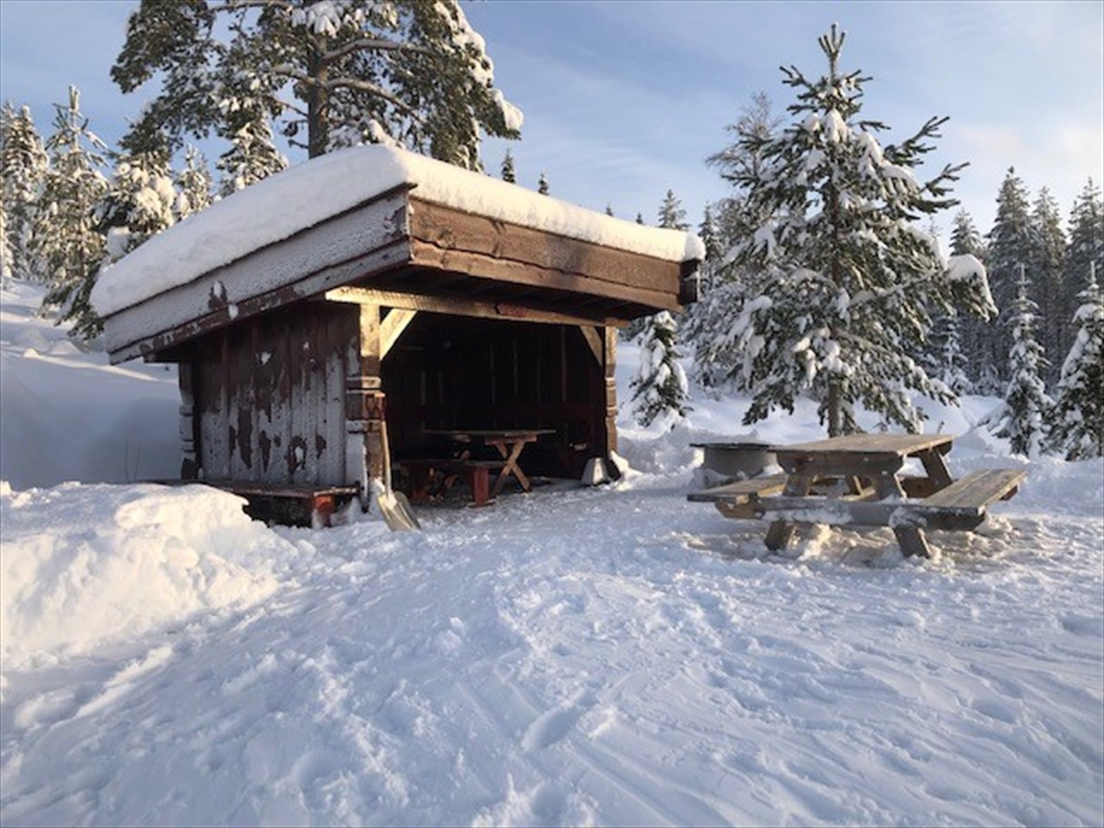 Bjønnåsen gapahuken i området - privat bilde Galleribilde