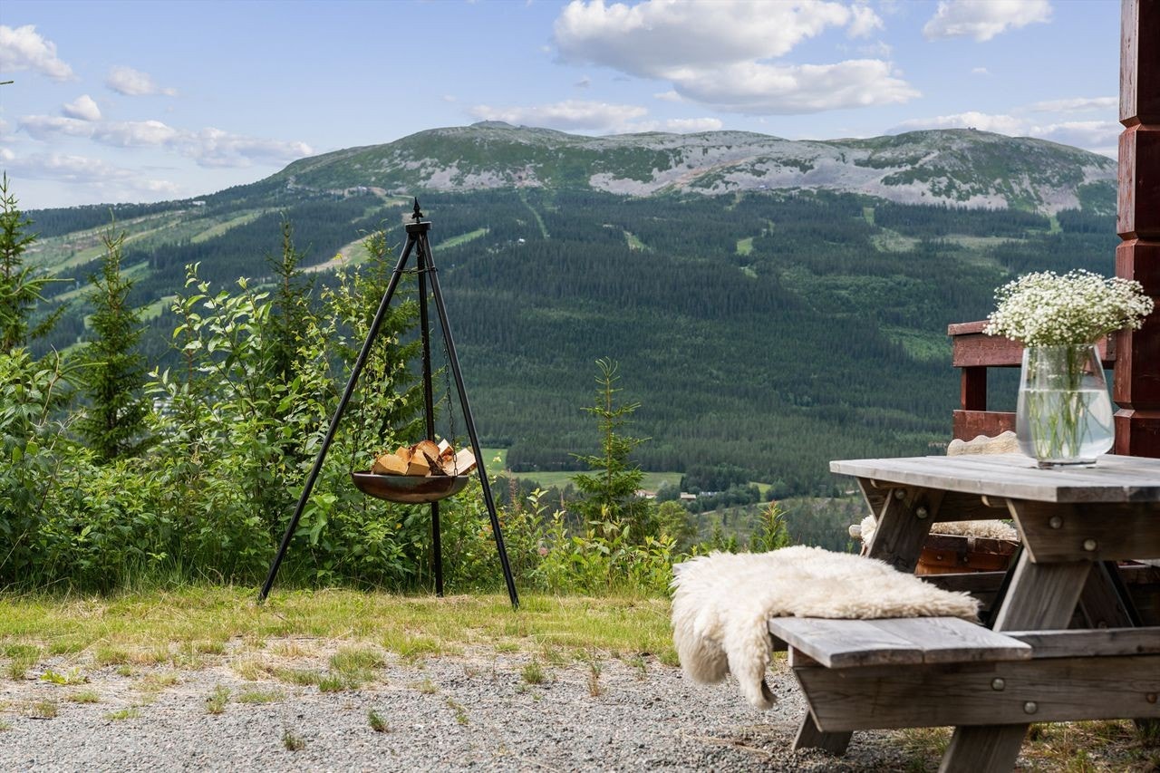 Utsikt til glede året rundt Galleribilde