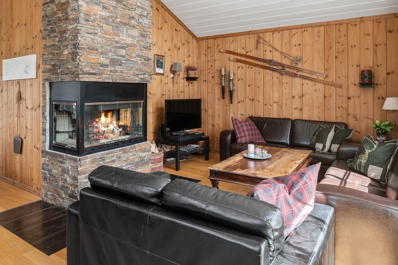 Majestetisk peis med glassdører, forblendet med naturstein Galleribilde