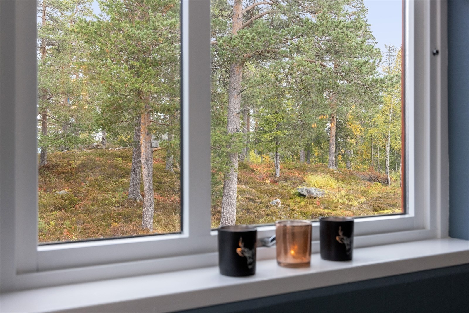 Utsikt fra stuen. Kort avstand til flott blåbærterreng. Galleribilde