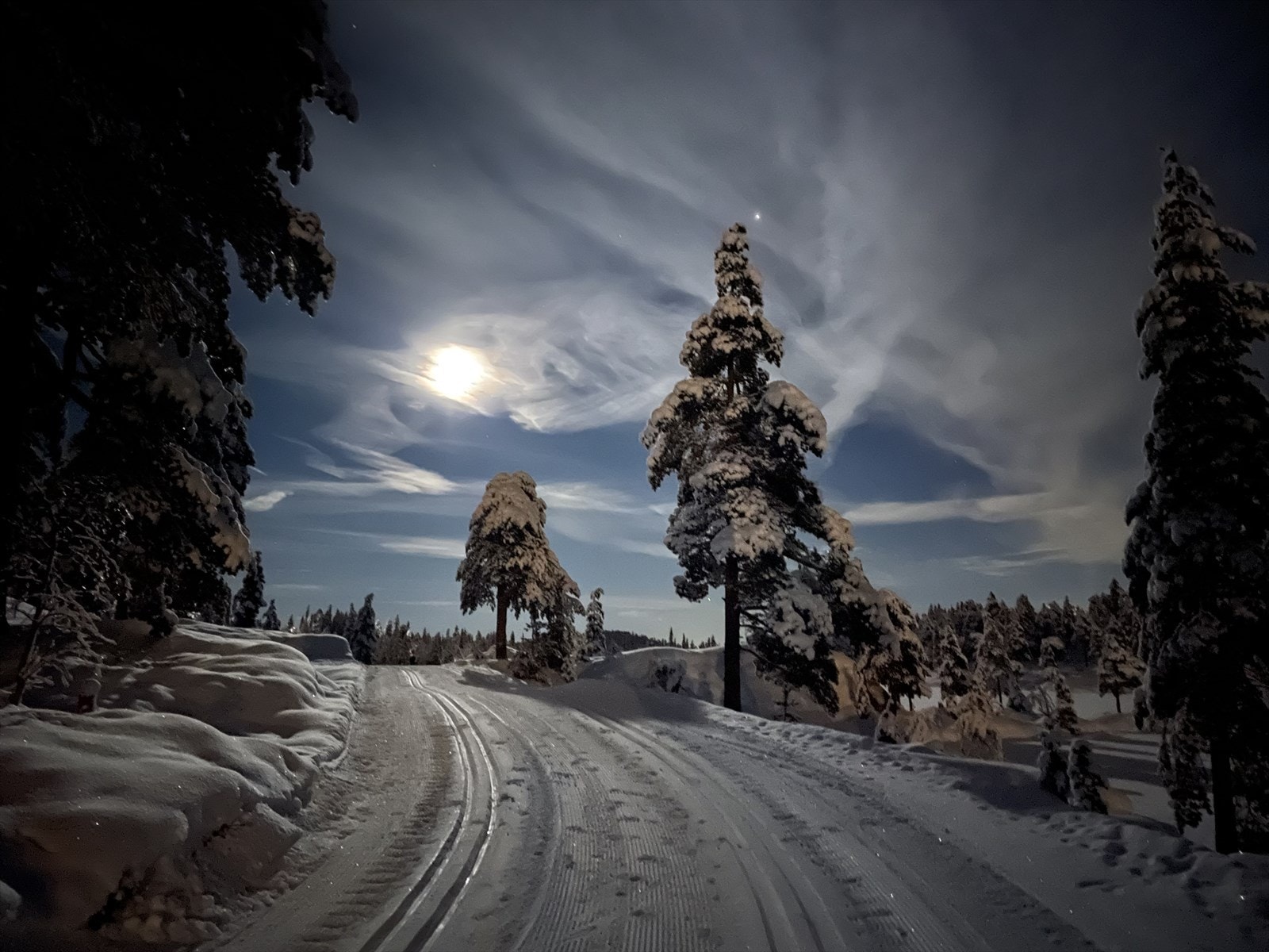 Måneskinnstur på Fagerfjell. Galleribilde