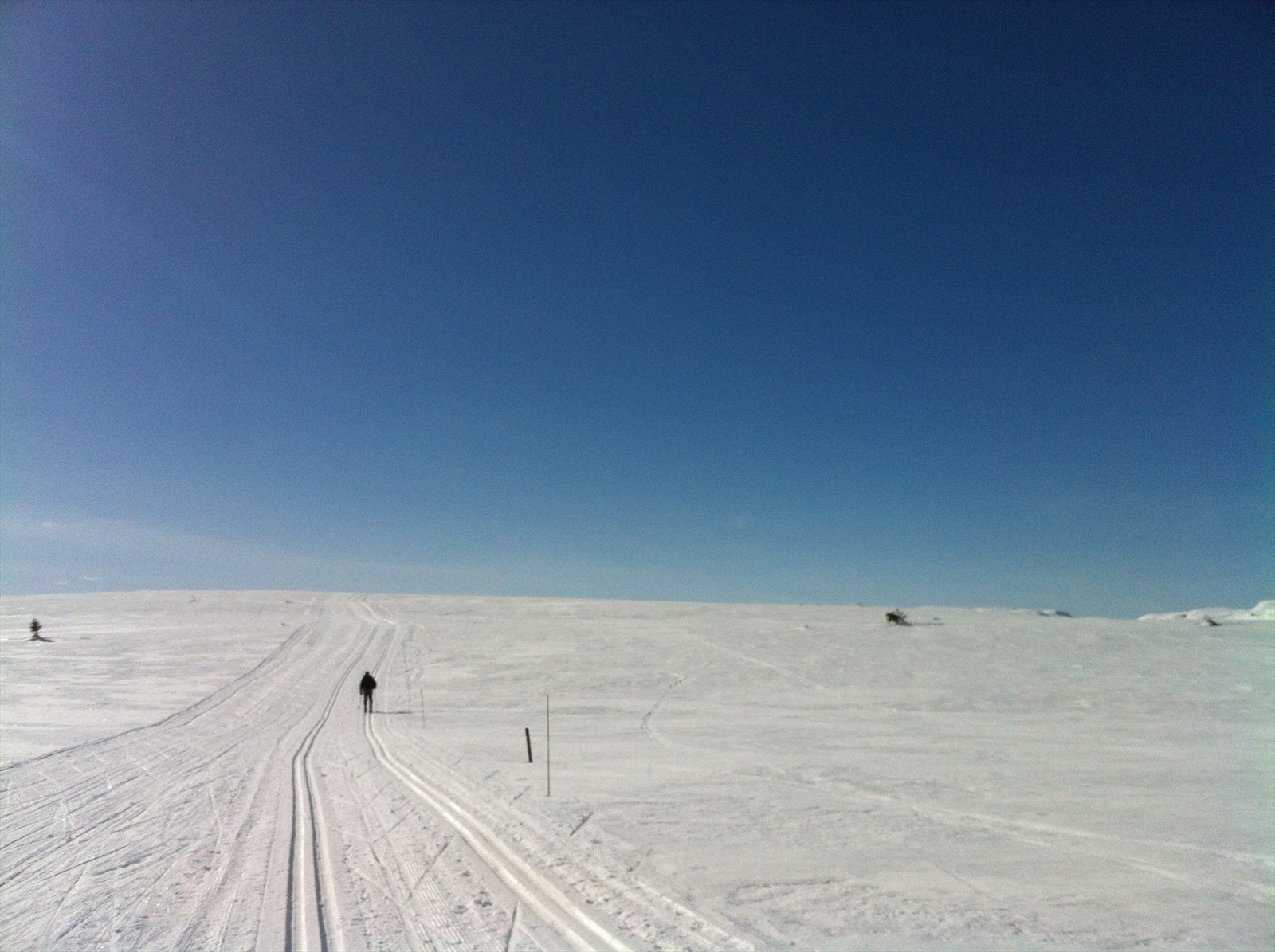 Fagerfjell på sitt beste. Galleribilde