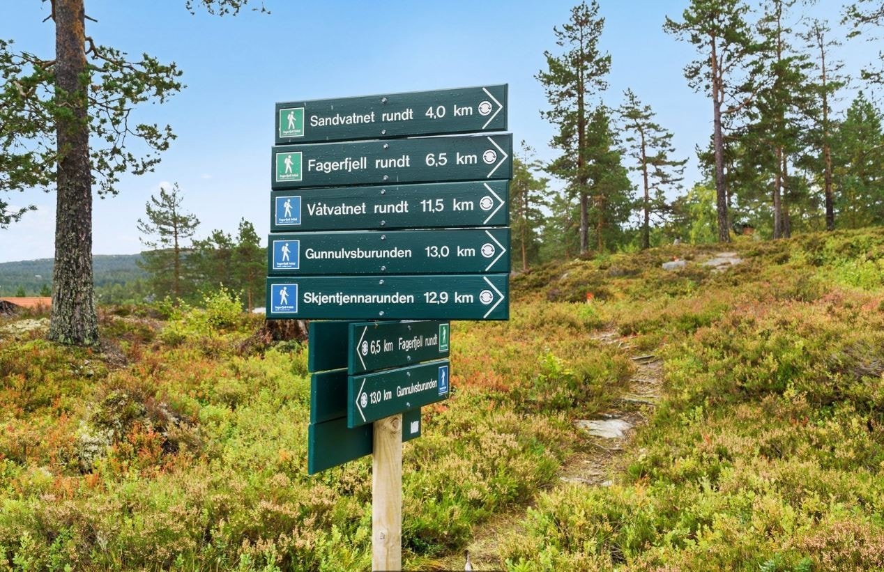 Mange oppmerkede turstier. Her sommerstier. Galleribilde