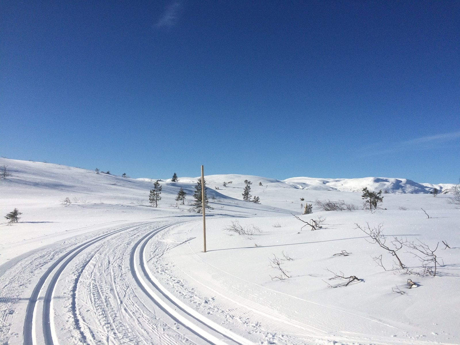 Fagerfjell på sitt beste. Galleribilde