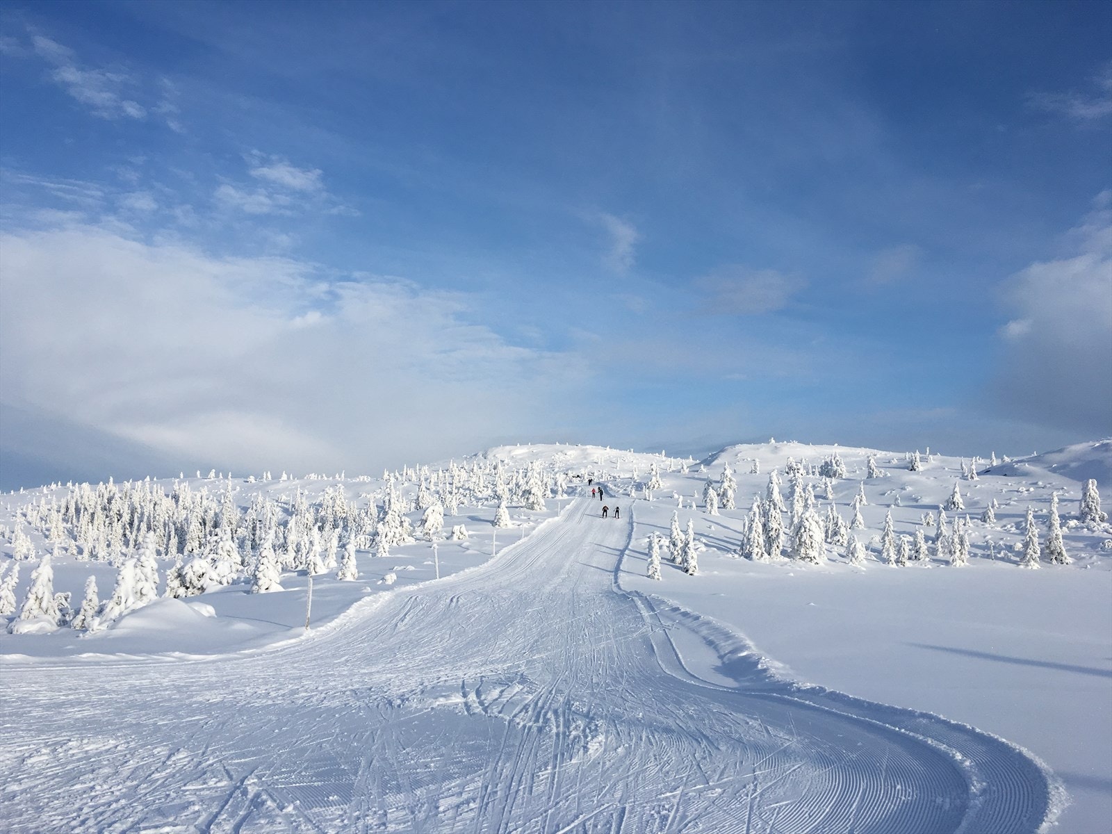 Fagerfjell på sitt beste. Galleribilde