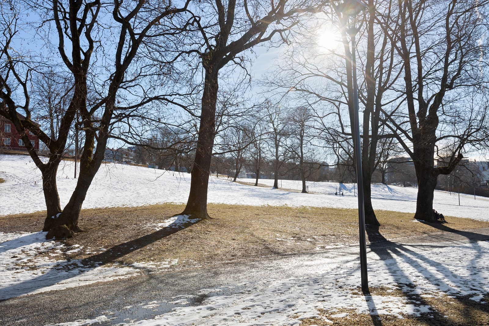 Superkort vei til Tøyenparken Galleribilde
