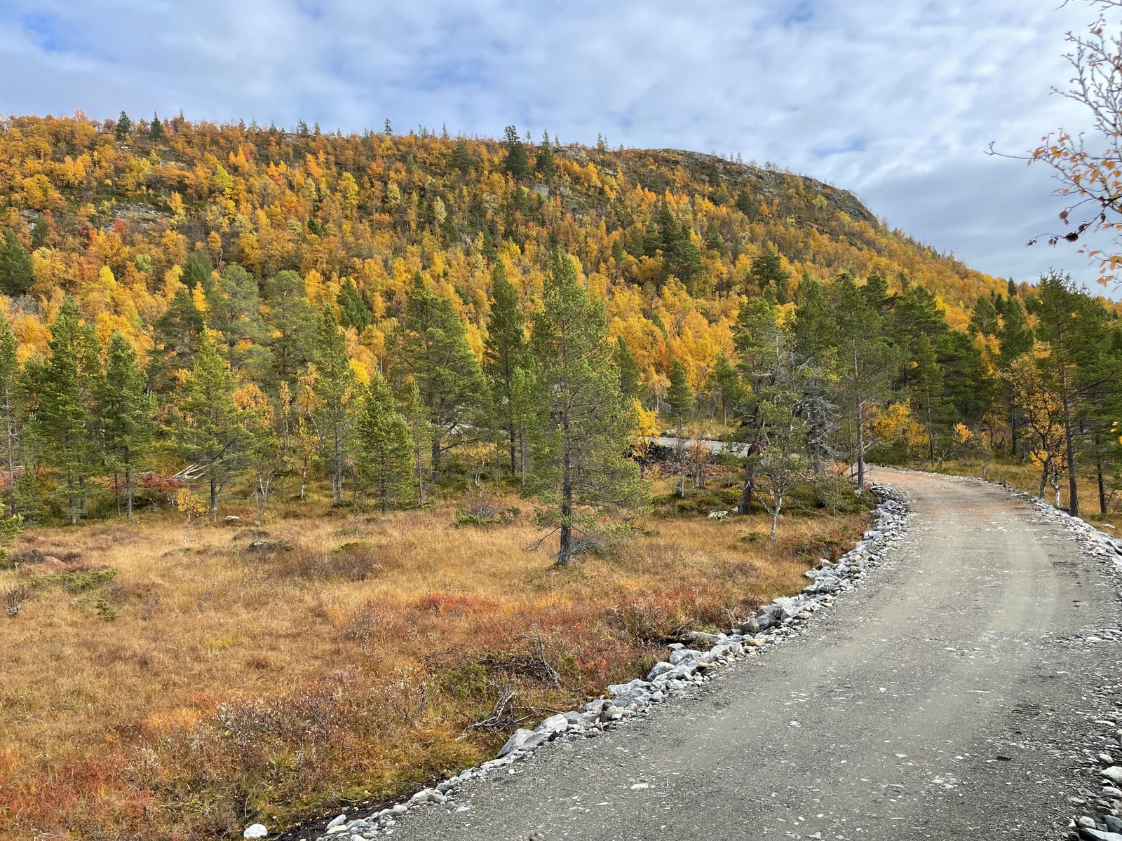 Tomten ligger til venstre i bildet - Savalkletten er rett ovenfor. Galleribilde