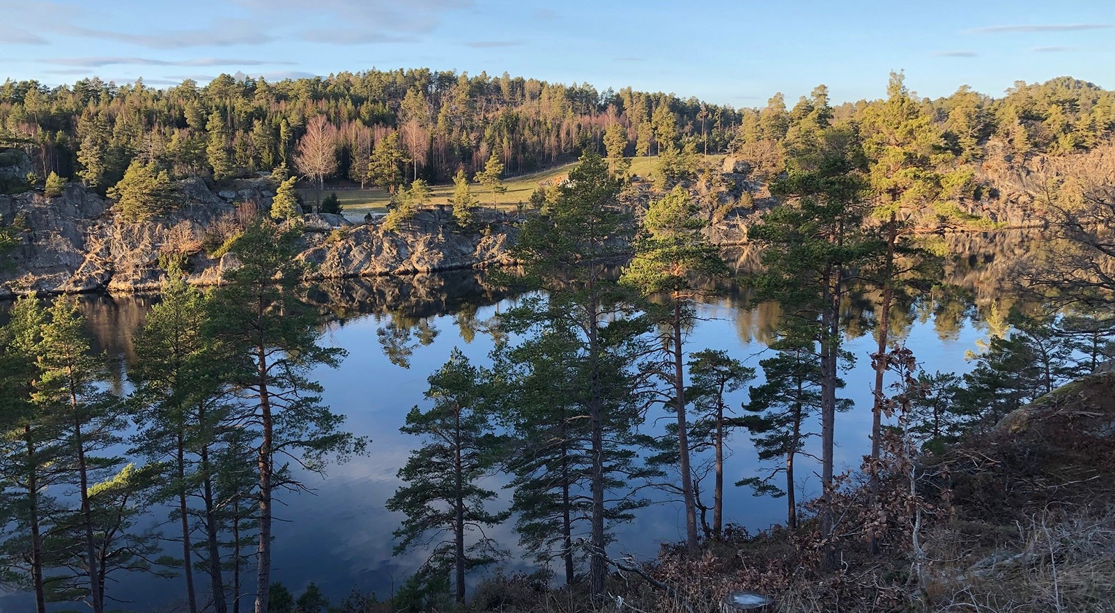 Utsikten fra de ytterste tomtene på Strandfjorden. Her kan du kose deg på terrassen og følge den rolige båttrafikken på Strandfjorden på vei opp og ned Reddalskanalen. Galleribilde