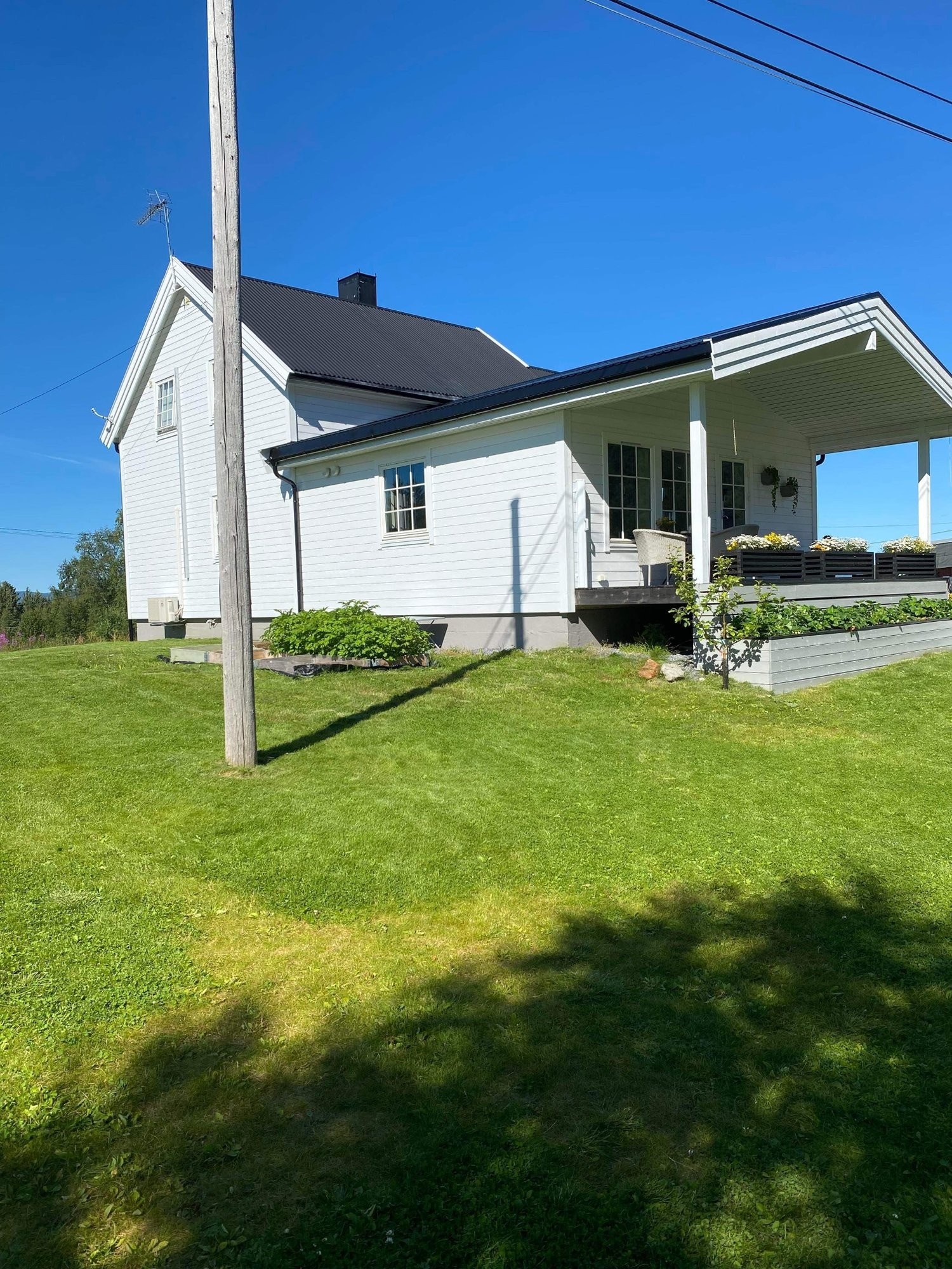 Ute i sommer Galleribilde