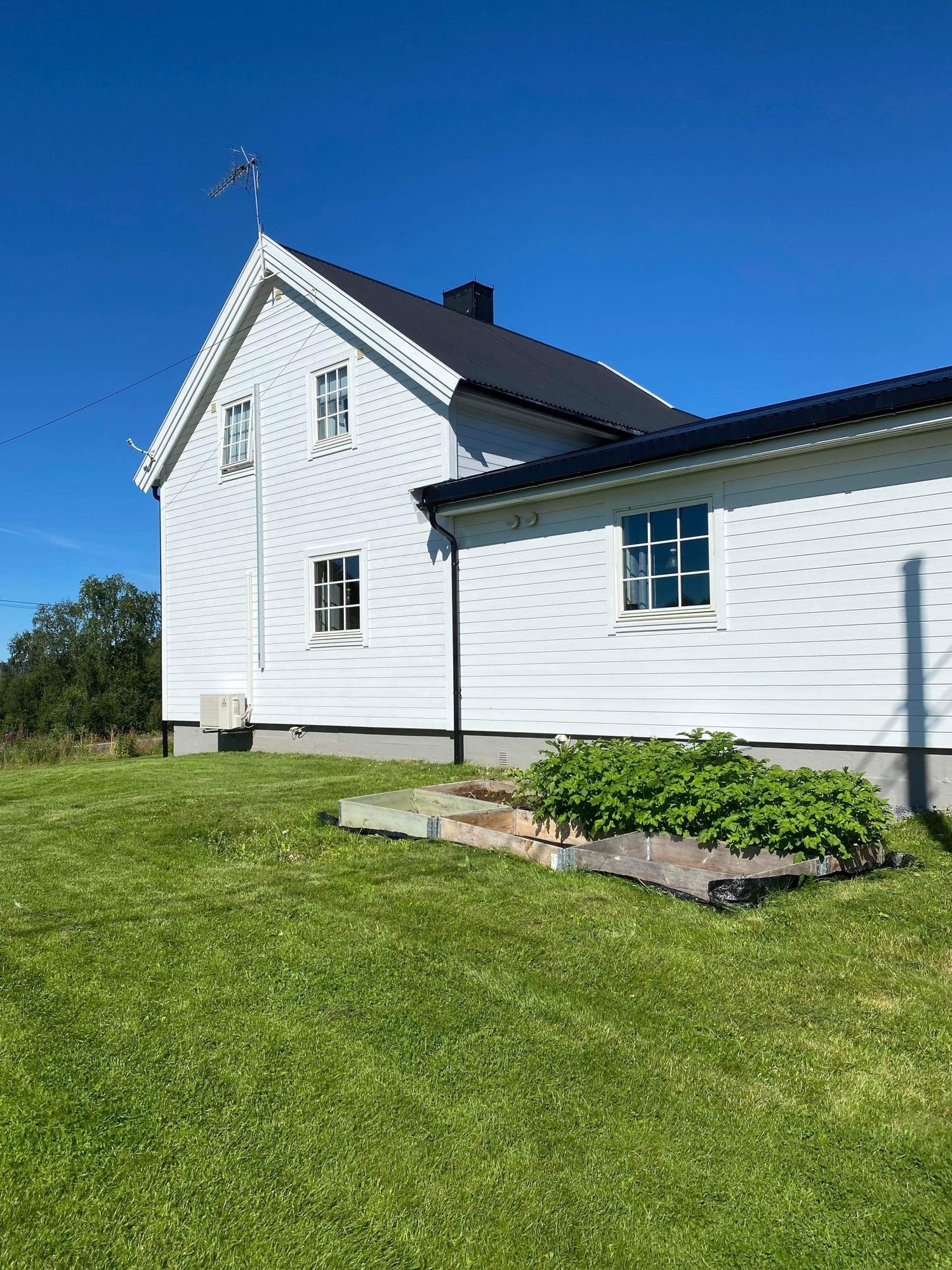 Ute i sommer Galleribilde