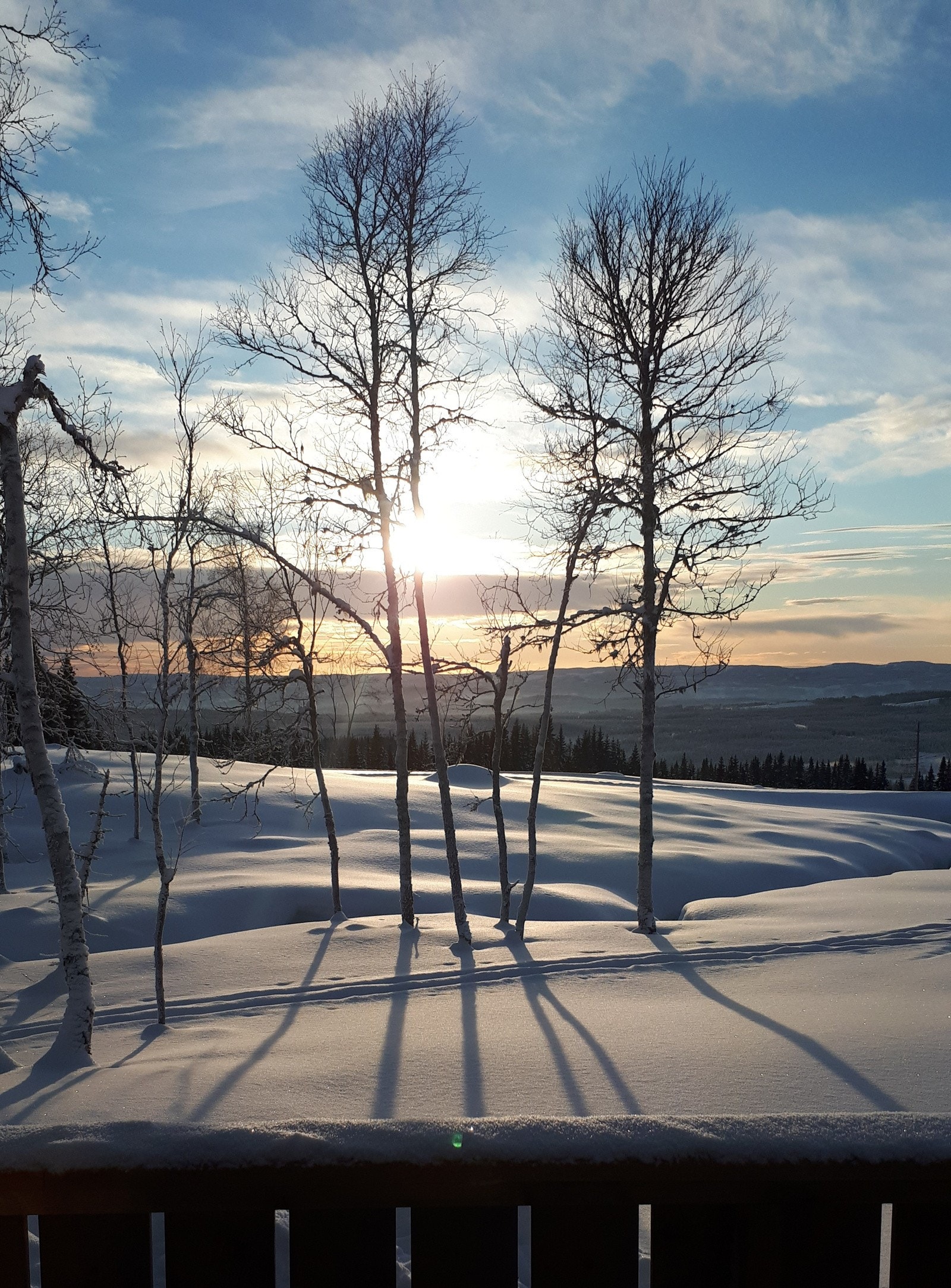 Vinter på Sjusjøen, her er det herlig å være både for store og små! Galleribilde