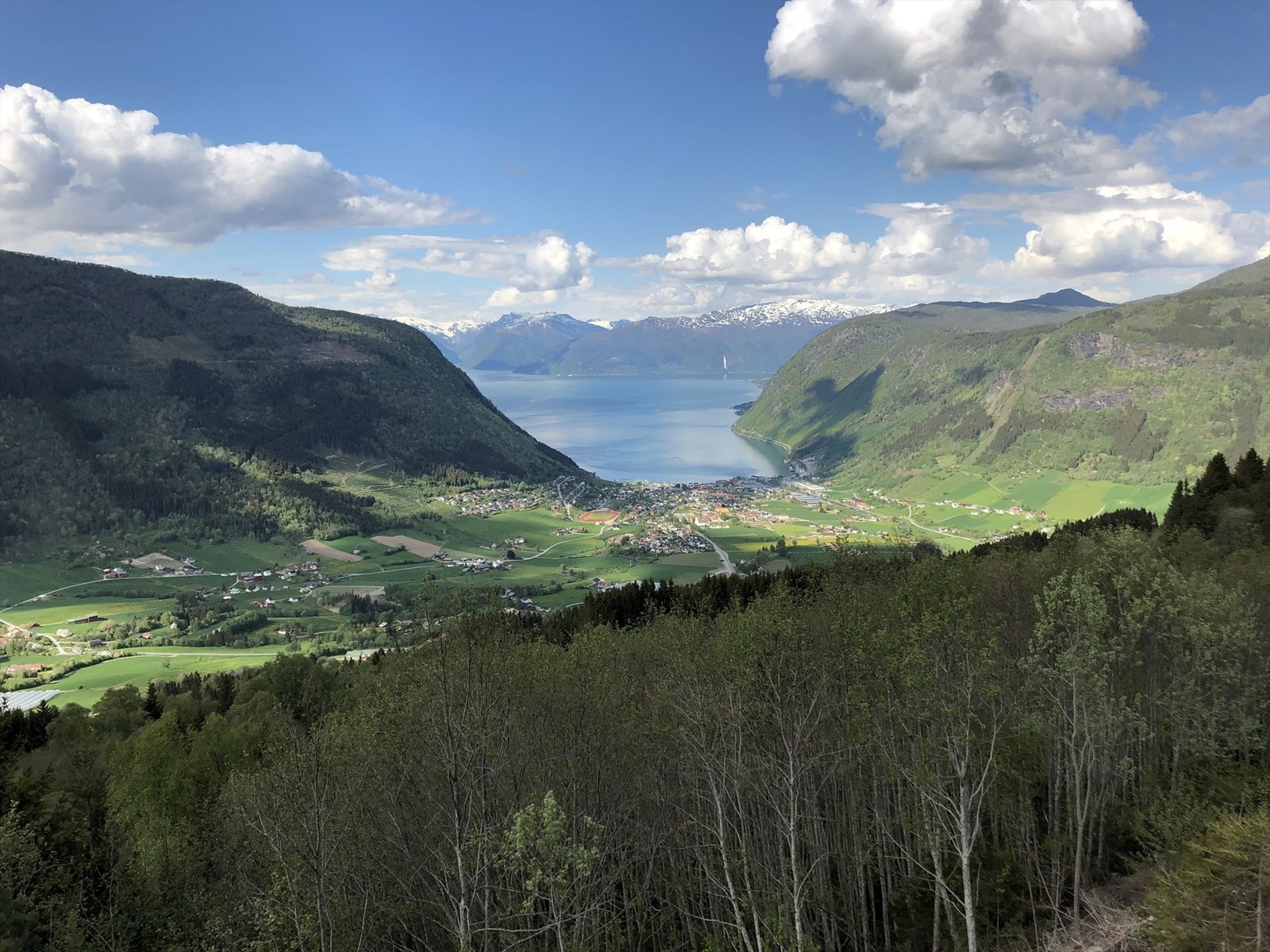Det er ca 10 minutter kjøretur opp til Vikafjellet og ca 10 minutter kjøring til Vik Sentrum. Galleribilde