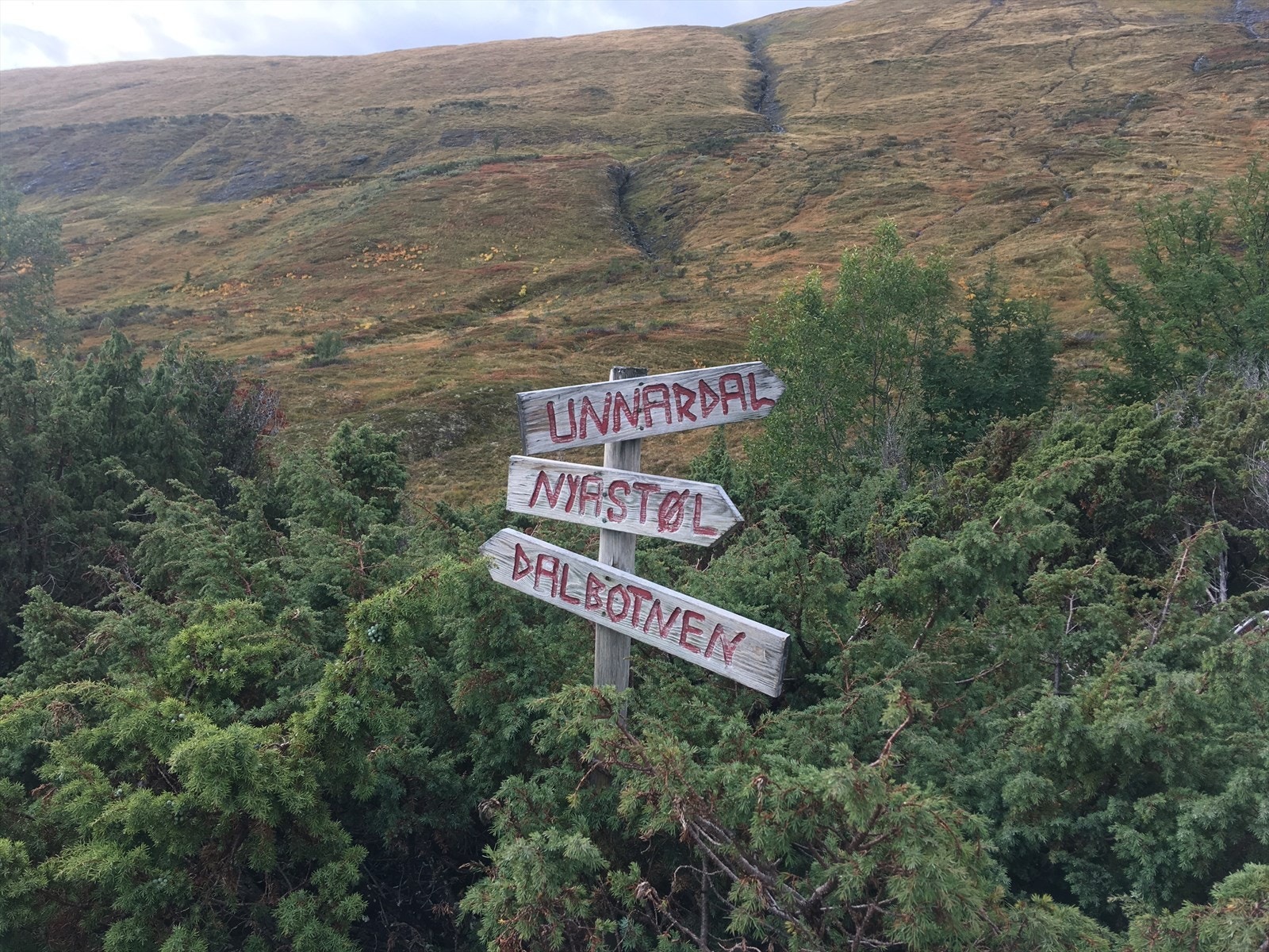 På fjellene er det nettverk av godt merkede og skiltene turstier. Galleribilde