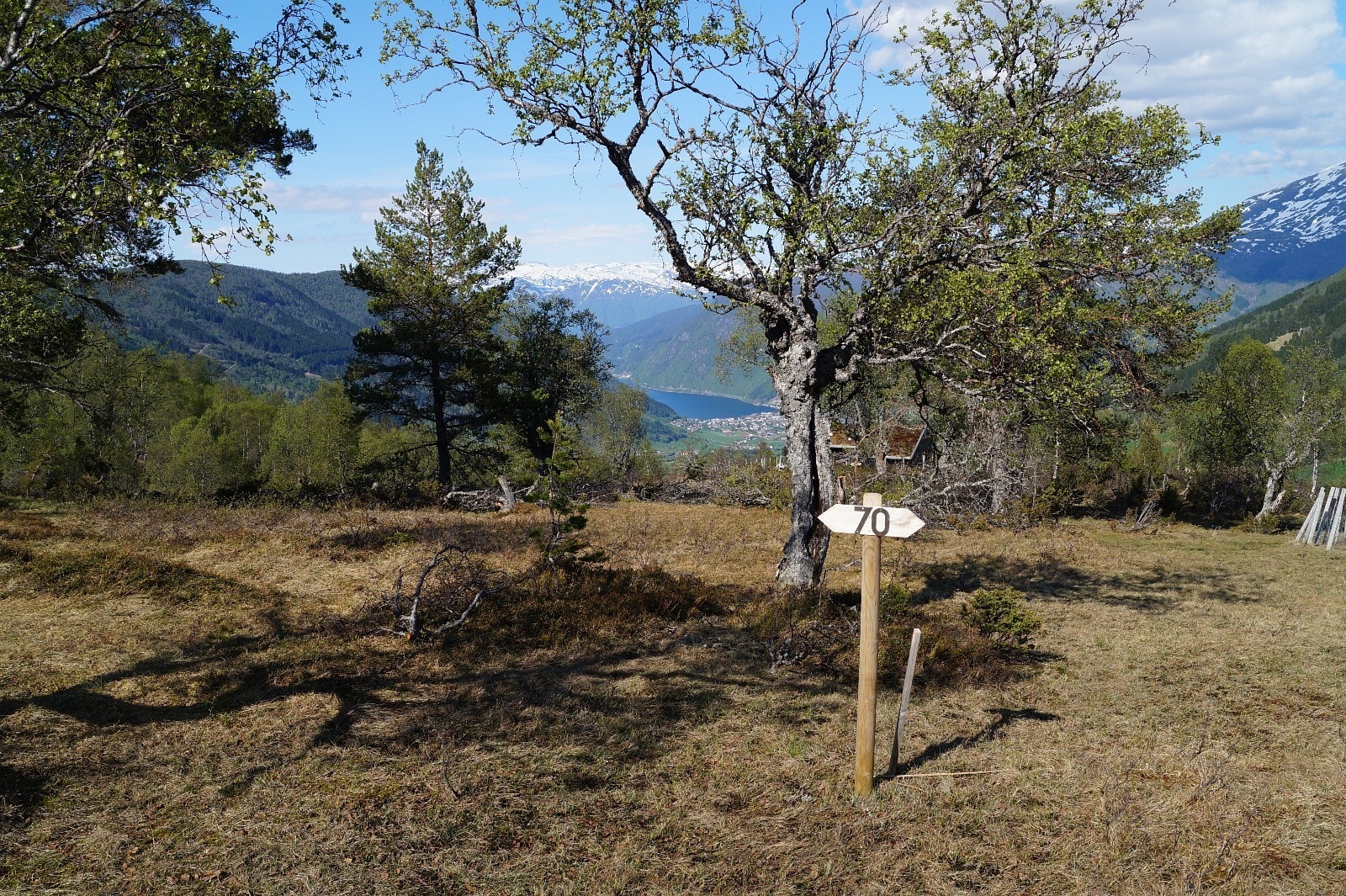 Dette er tomt 70. Tomt 70 - 1000 m2. Pris: 1.145.000,- Galleribilde