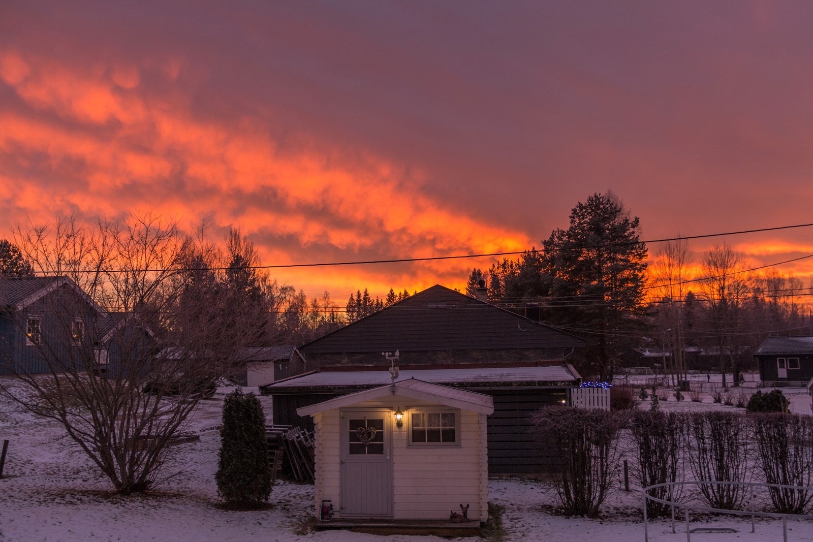 Kveldsstemning. Galleribilde