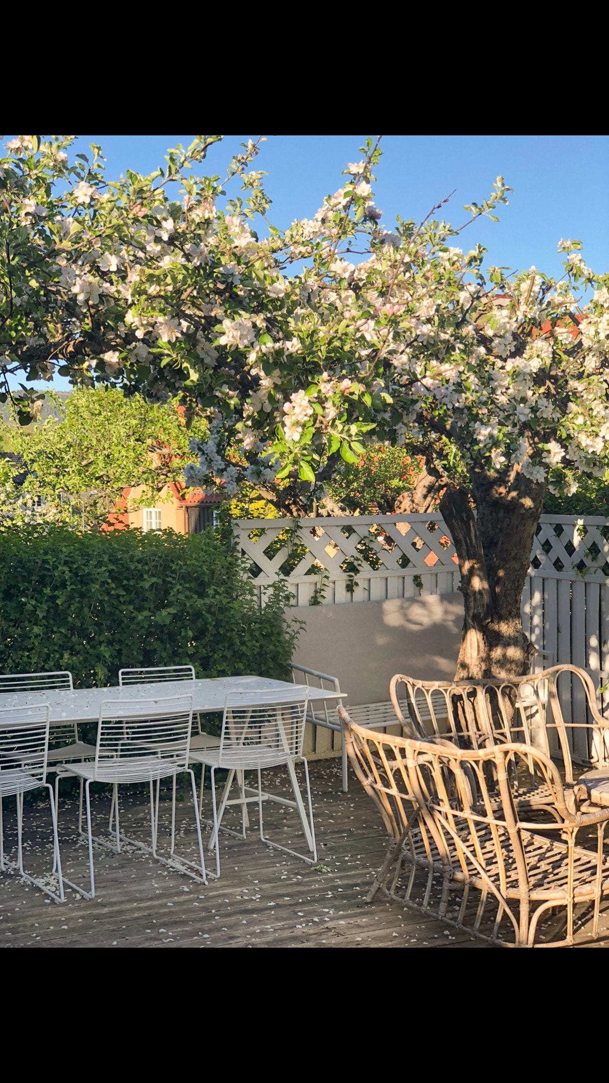 Selgers sommerbilde. Galleribilde