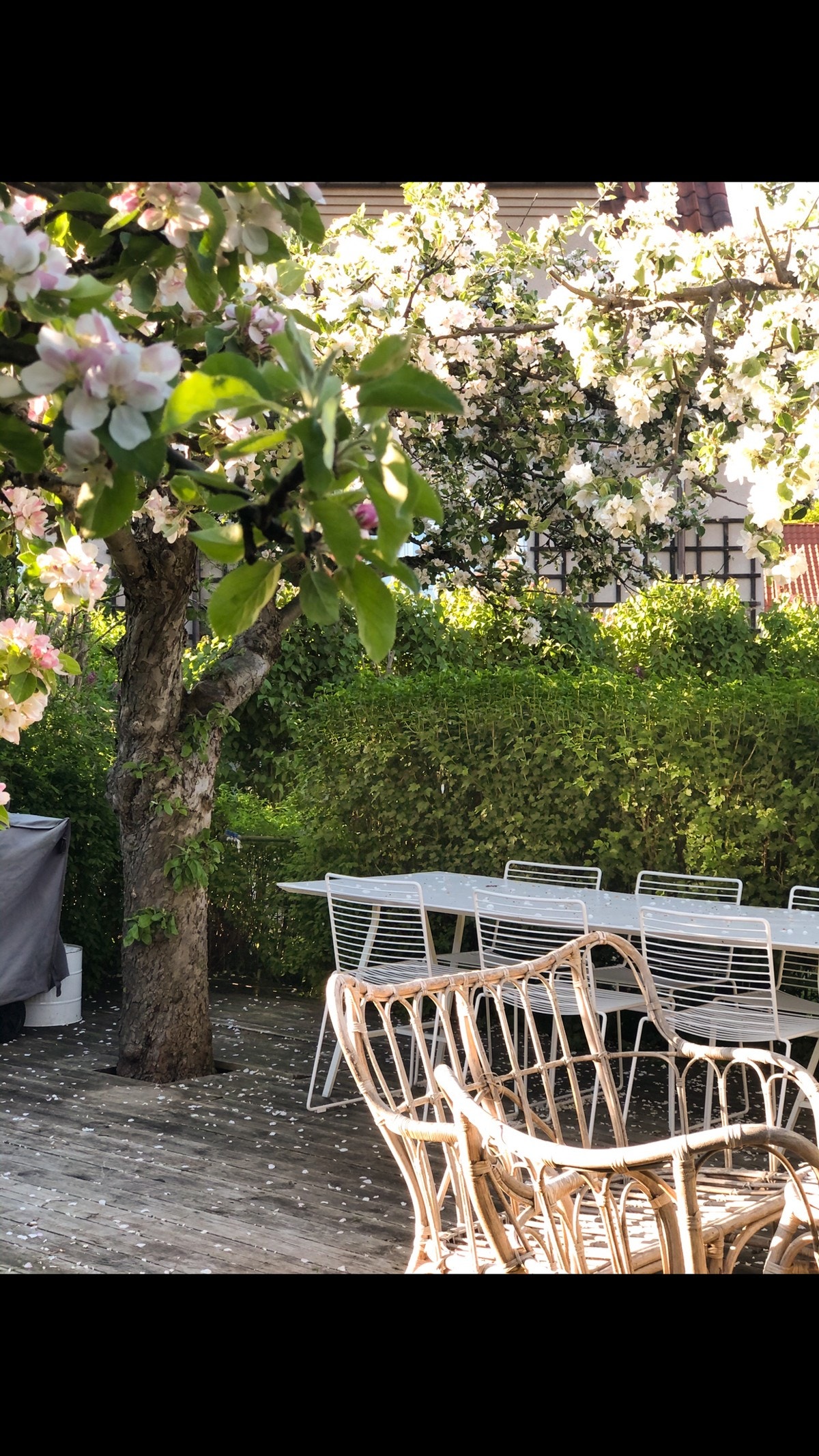 Selgers sommerbilde. Galleribilde