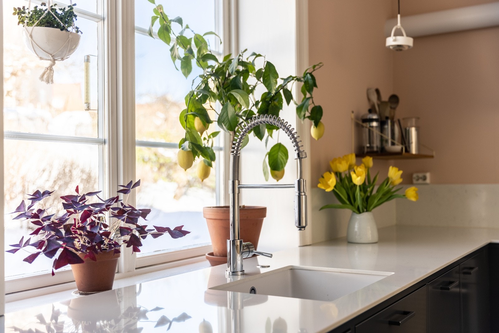 Innredningen består av glatte fronter og kompositt benkeplate, samt integrert kjøl/fryseskap, oppvaskmaskin, komfyr og induksjonstopp. Galleribilde