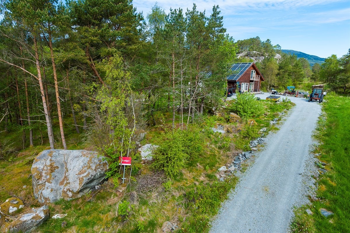 Landlig boligtomt på vakre Randøy Galleribilde