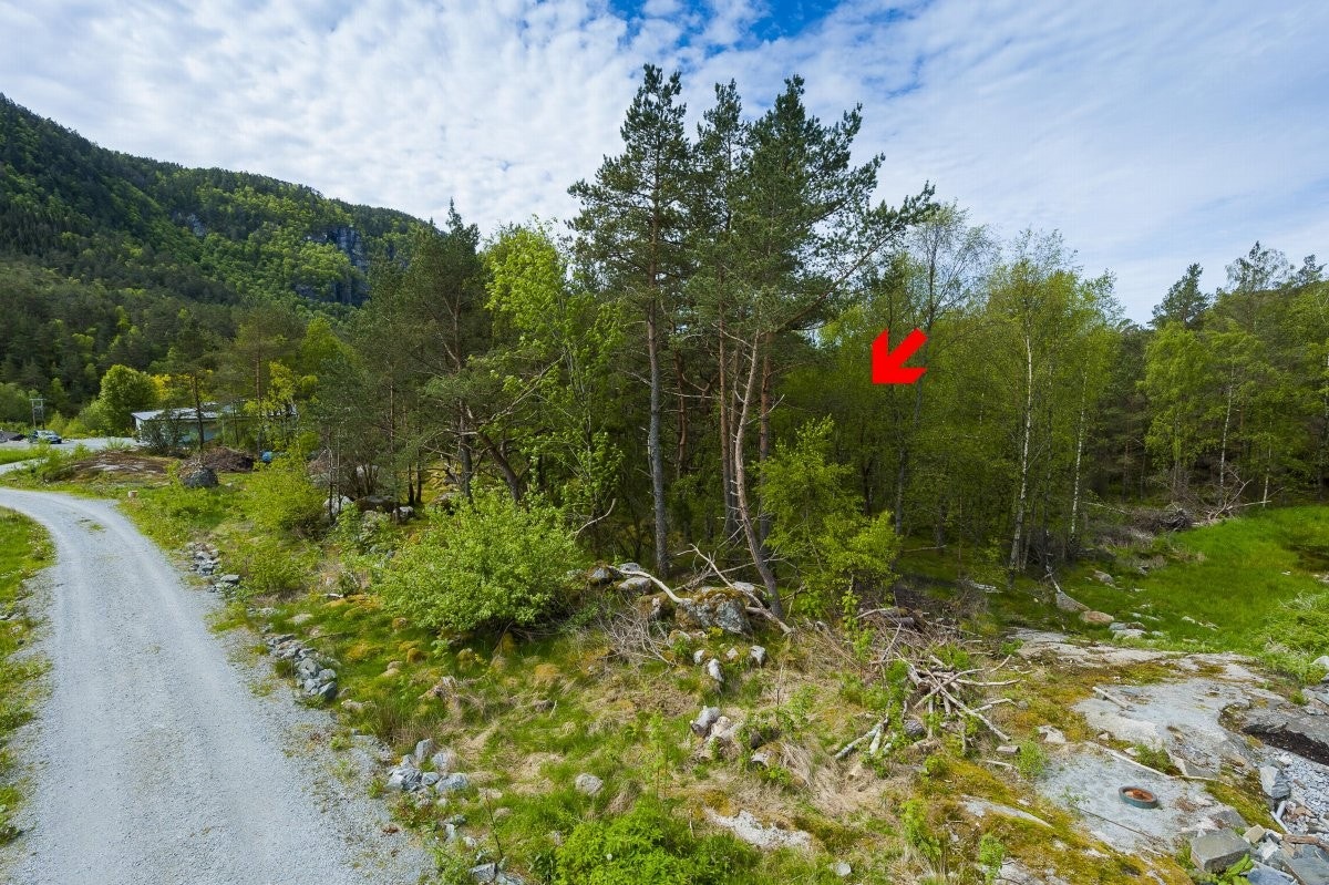 Landlig boligtomt på vakre Randøy Galleribilde