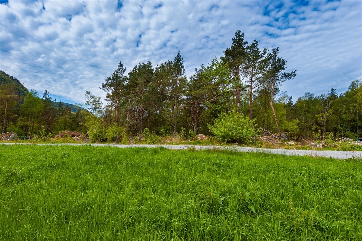 Landlig boligtomt på vakre Randøy Galleribilde