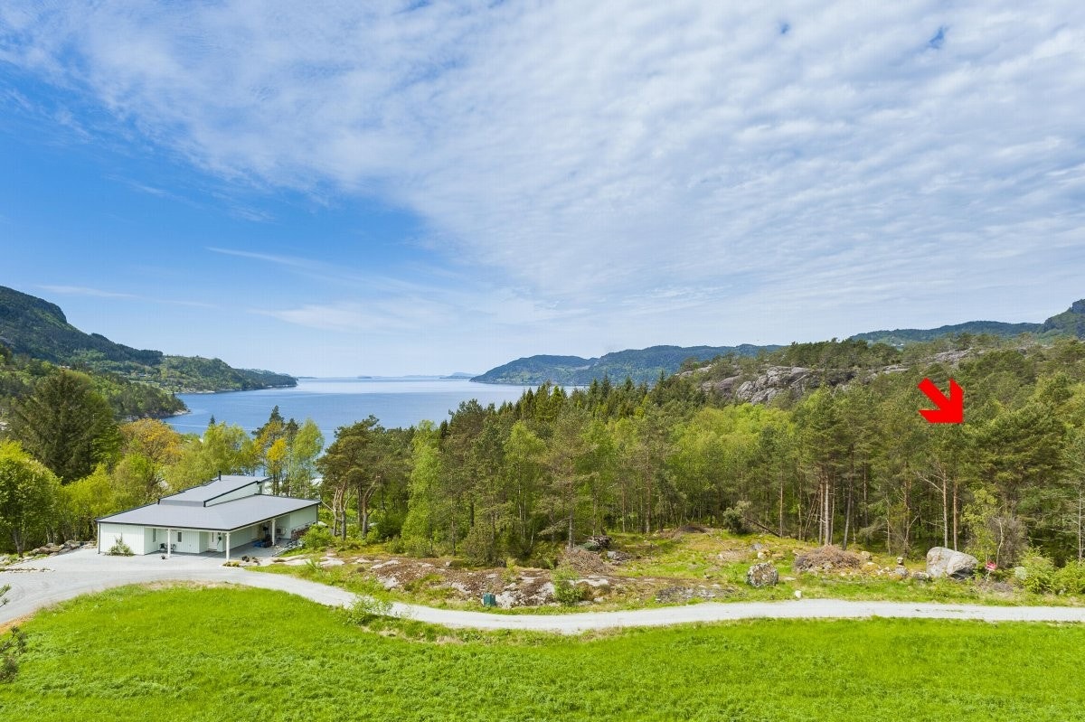 Stor boligtomt Galleribilde