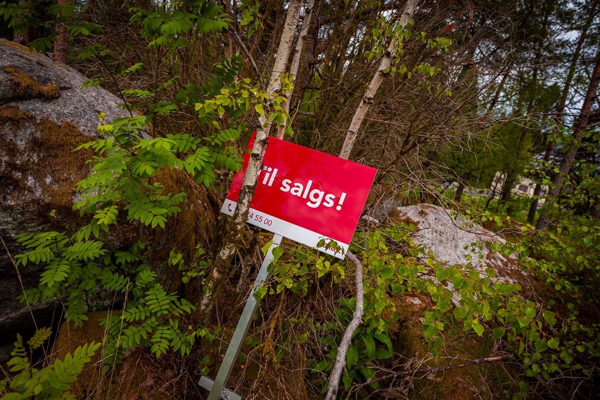 Landlig boligtomt på vakre Randøy Galleribilde