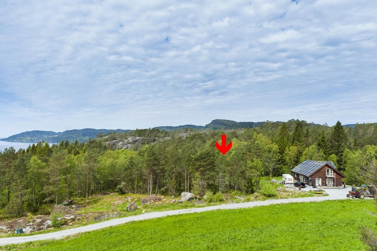 Landlig boligtomt på vakre Randøy Galleribilde
