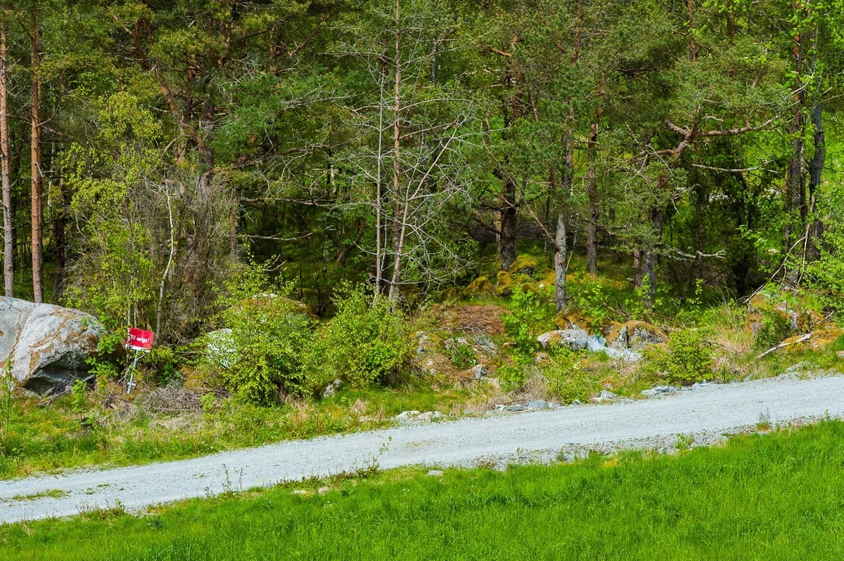 Landlig boligtomt på vakre Randøy Galleribilde