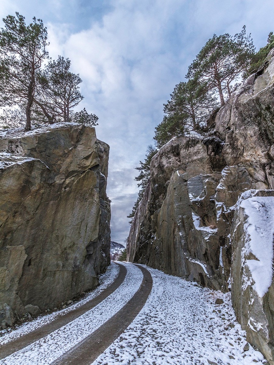 Vinter - 07 Galleribilde