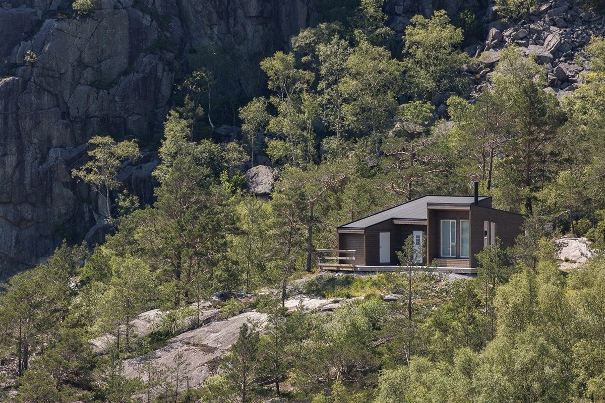 Flesjeheiå Galleribilde