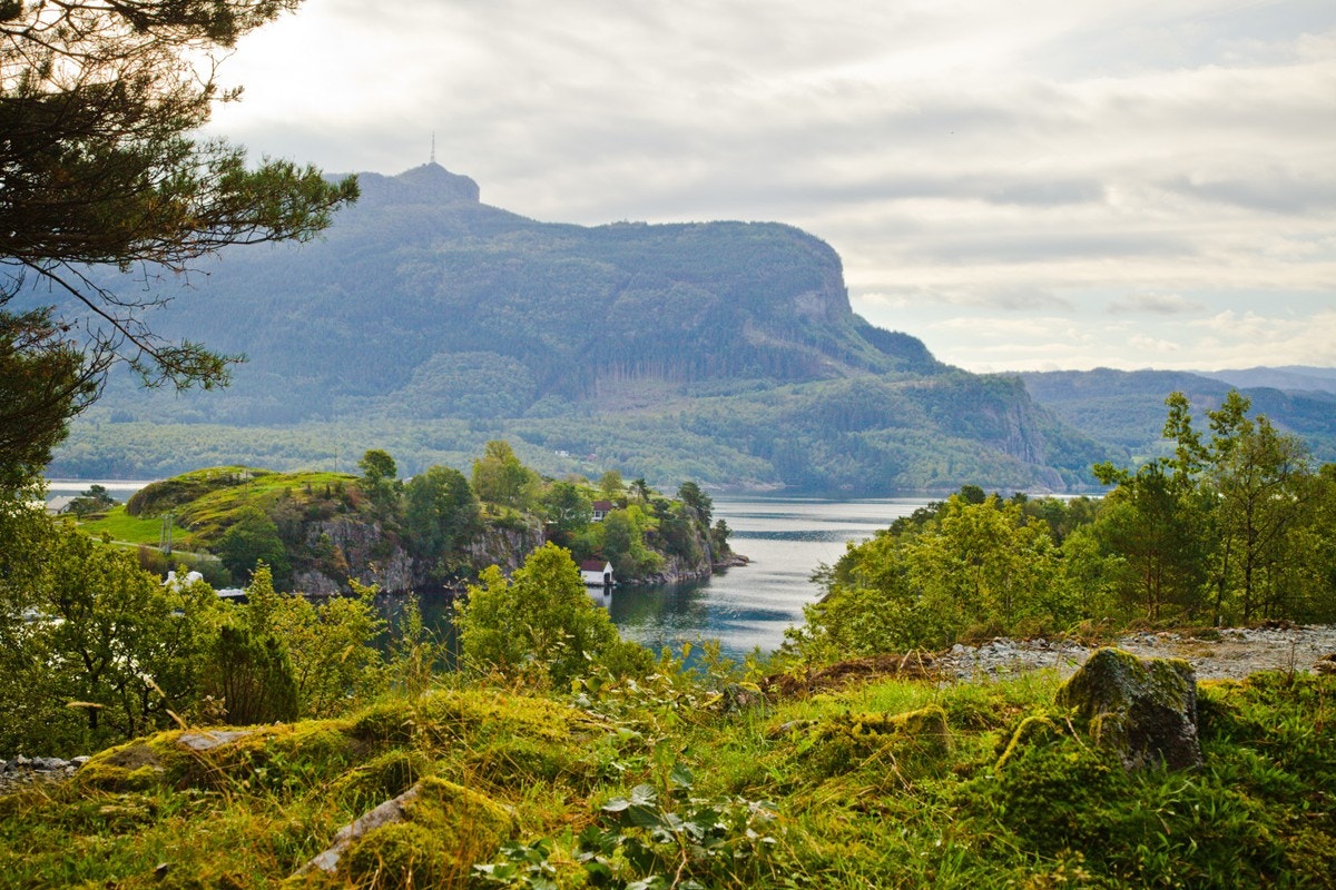 God utsikt fra tomtene Galleribilde