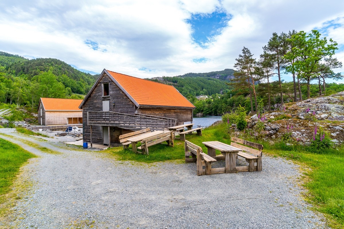 4323643_1-qpxxrb1.jpg Galleribilde