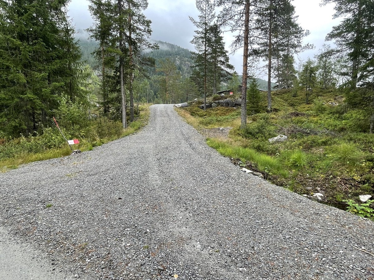 Innkjørsel (privat bilde) Galleribilde