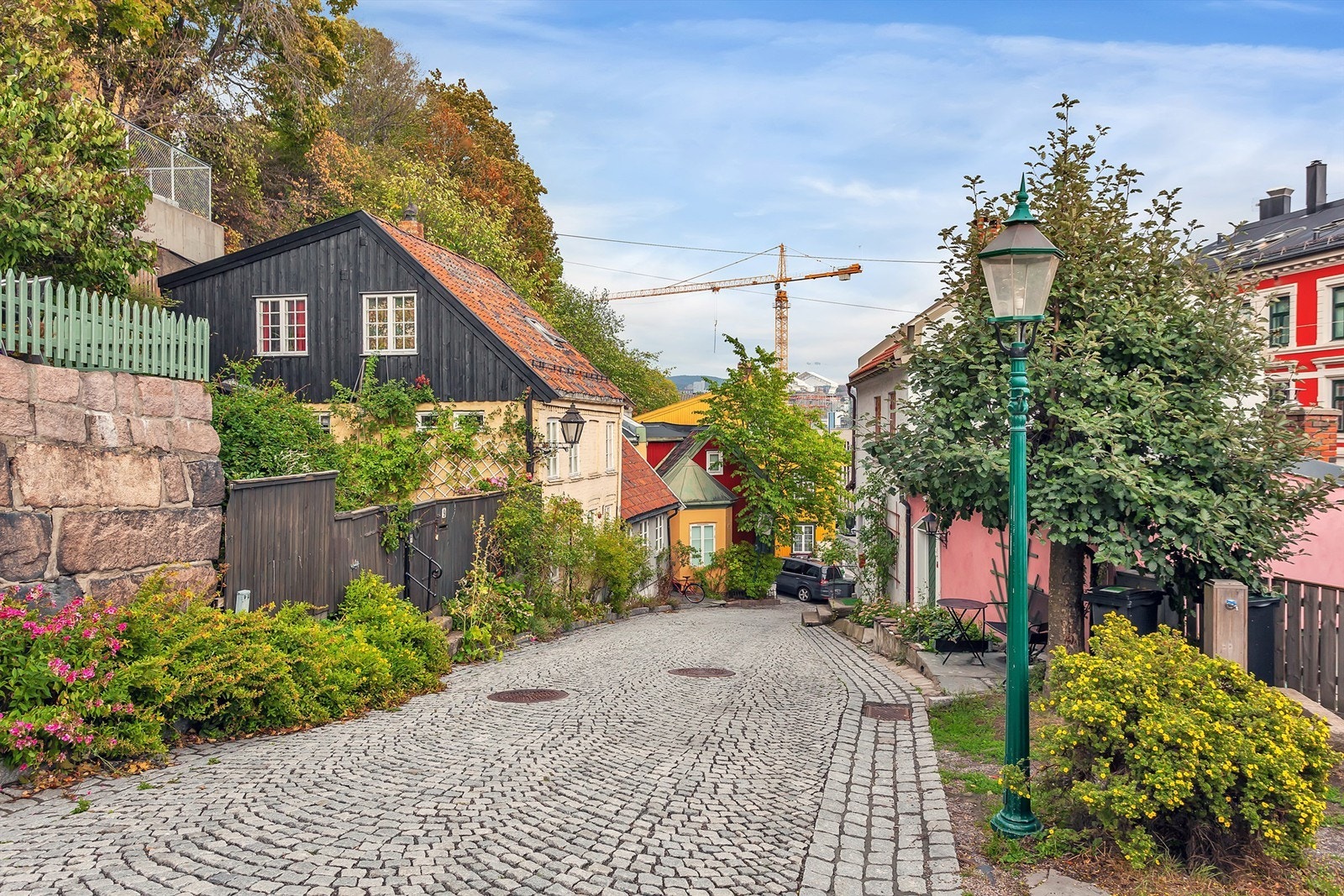 Nærområdet Galleribilde