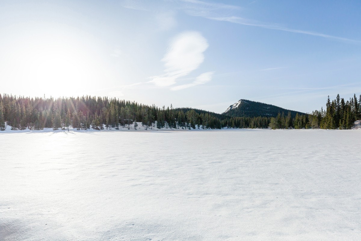 Langetjønn Galleribilde