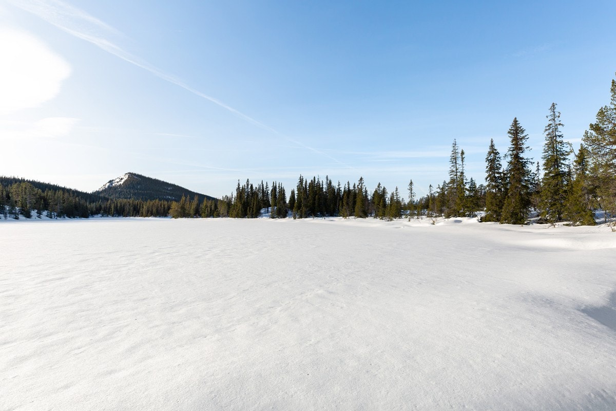 Langetjønn Galleribilde