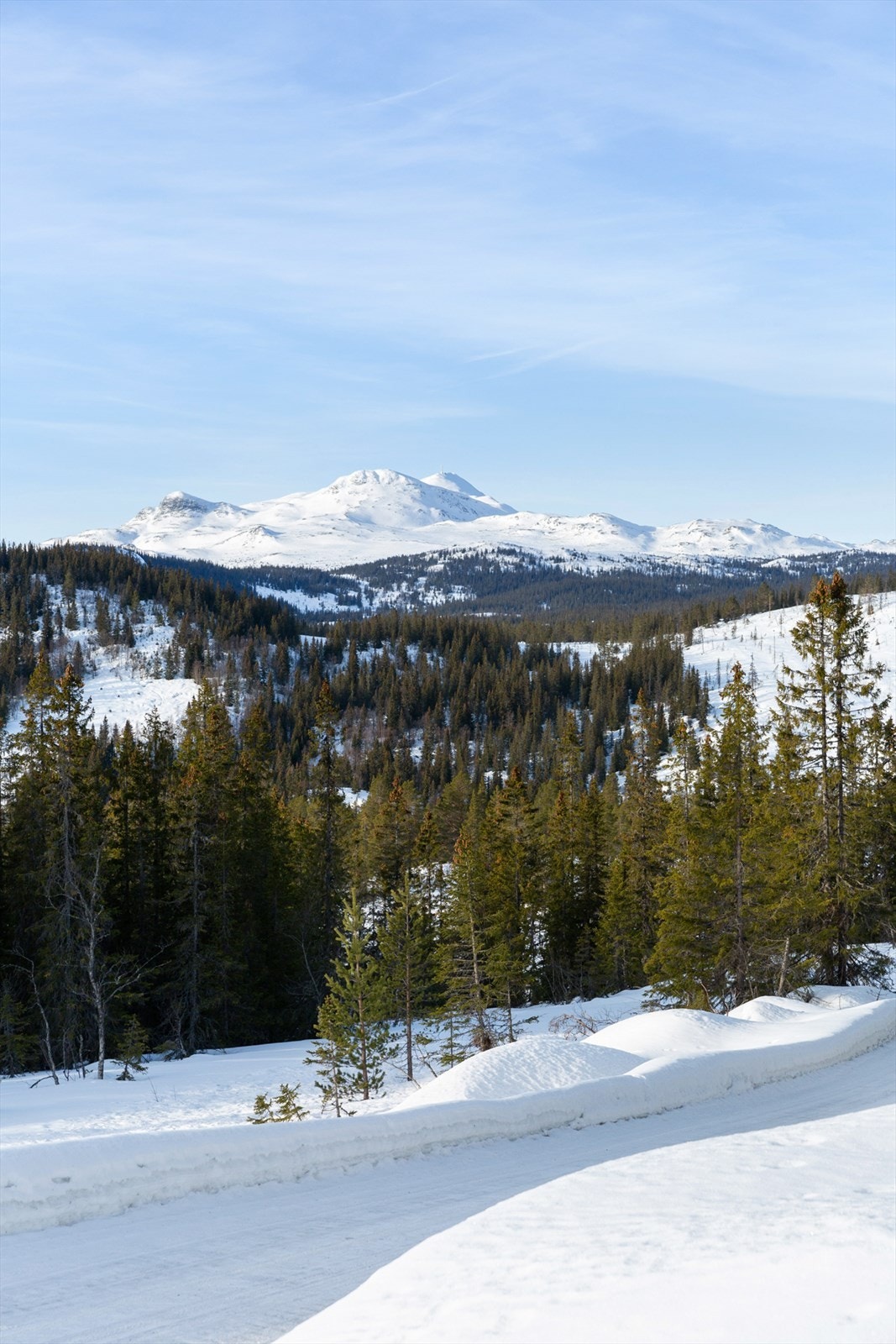 På vei til tomten er det flott utsikt til Gaustatoppen og Gaustaknea Galleribilde