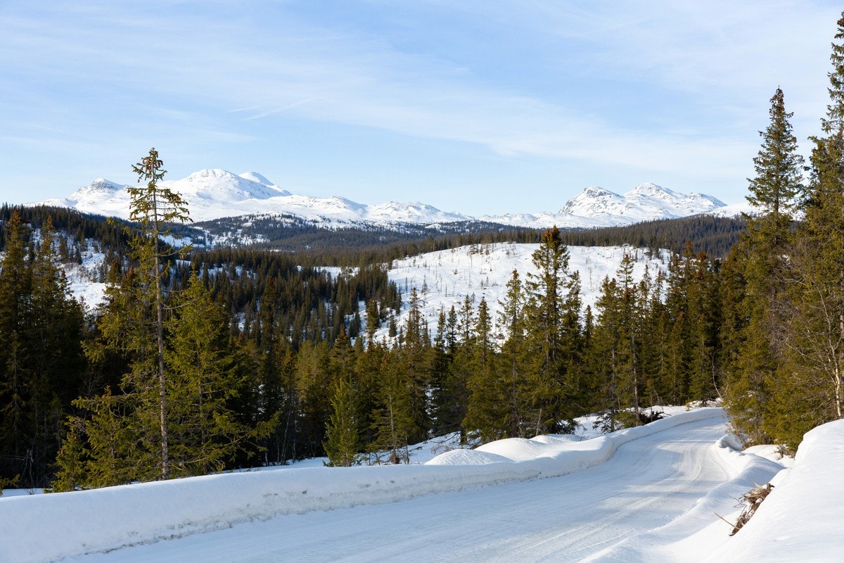 Fra hyttefeltet er det også milelange skiløyper som går til Råen og videre til Gaustablikk om man ønsker det Galleribilde