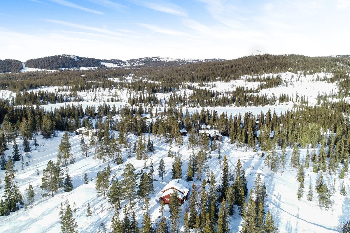 Oversiktsbilder over nærområdet Galleribilde