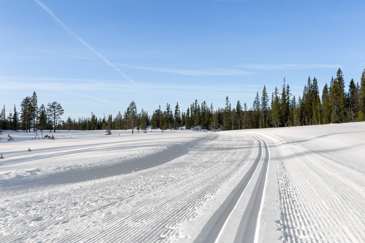 På Skisporet.no kan man til enhver tid følge med på løypenettet som kjøres opp i hele området Galleribilde