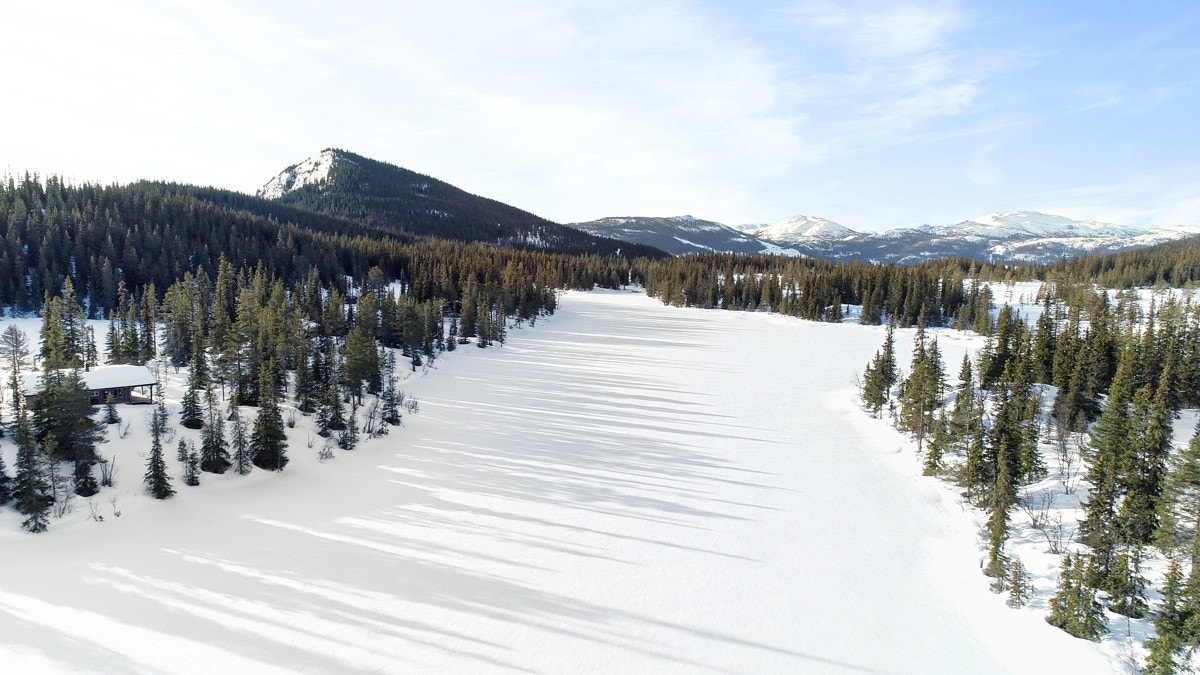 Langetjønn Galleribilde