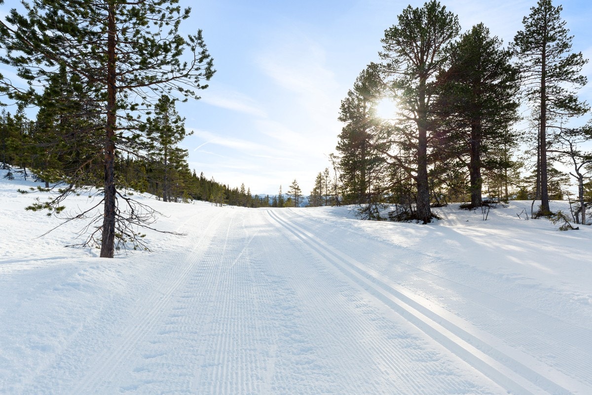 Det er utallige muligheter med skiløyper i snørike Tuddal Galleribilde