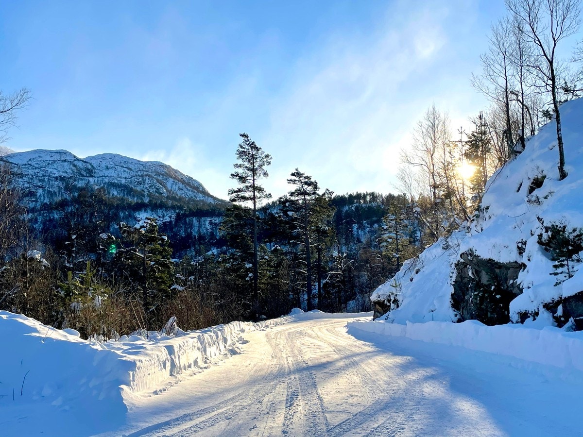 Vei opp hyttefeltet Galleribilde