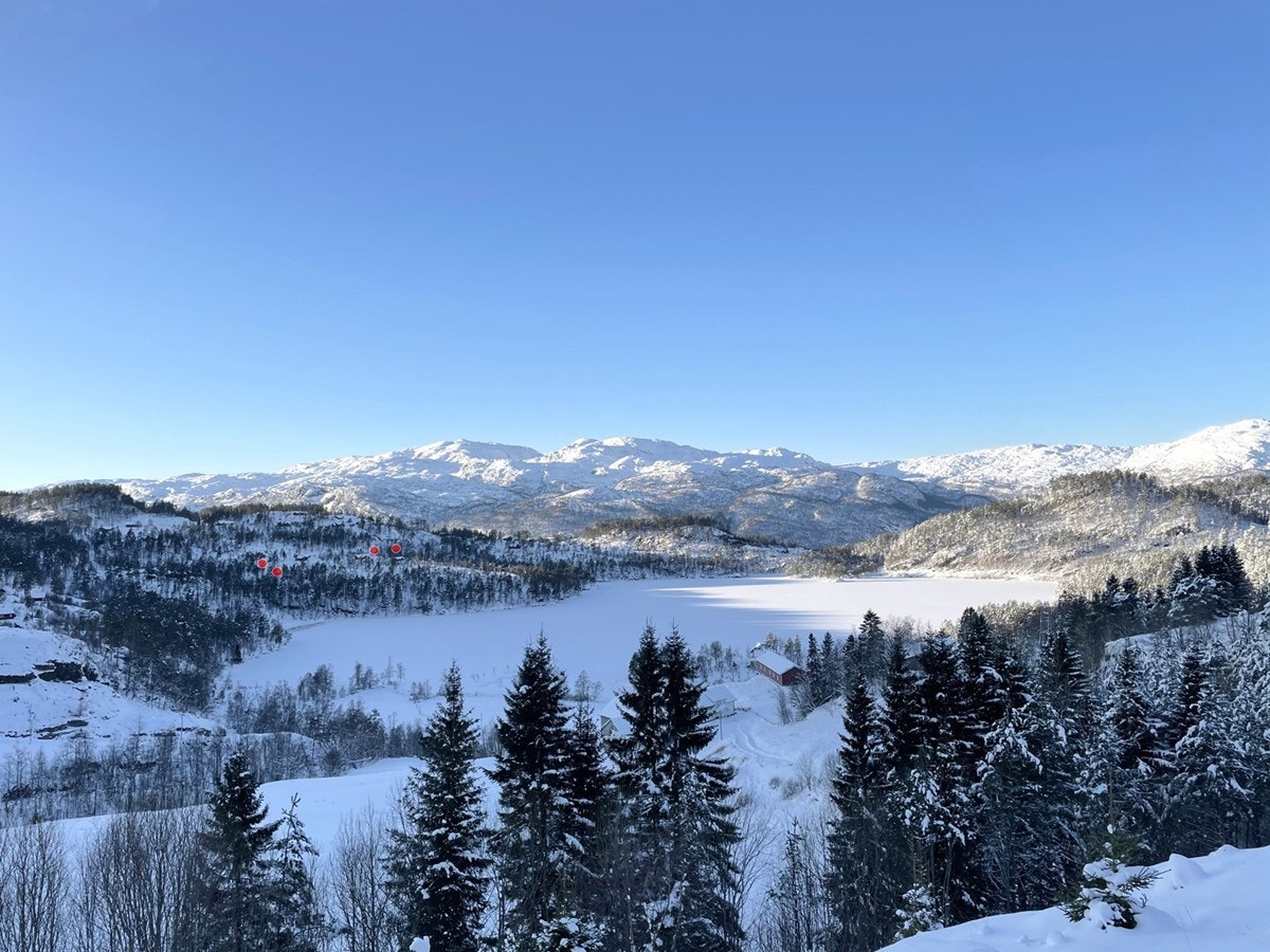 Maldalsvatnet Galleribilde