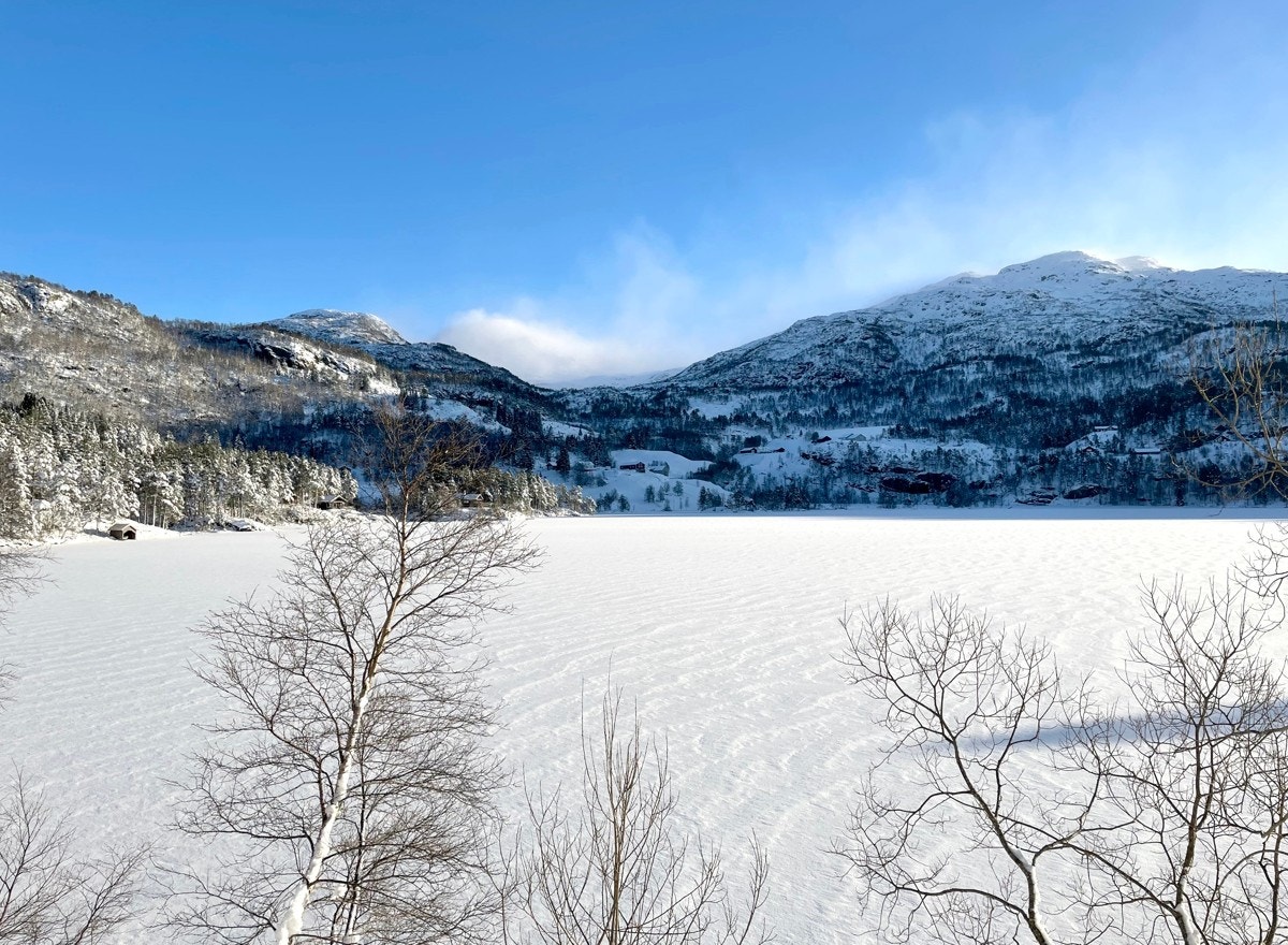 Flotte omgivelser ved Maldalsvatnet Galleribilde