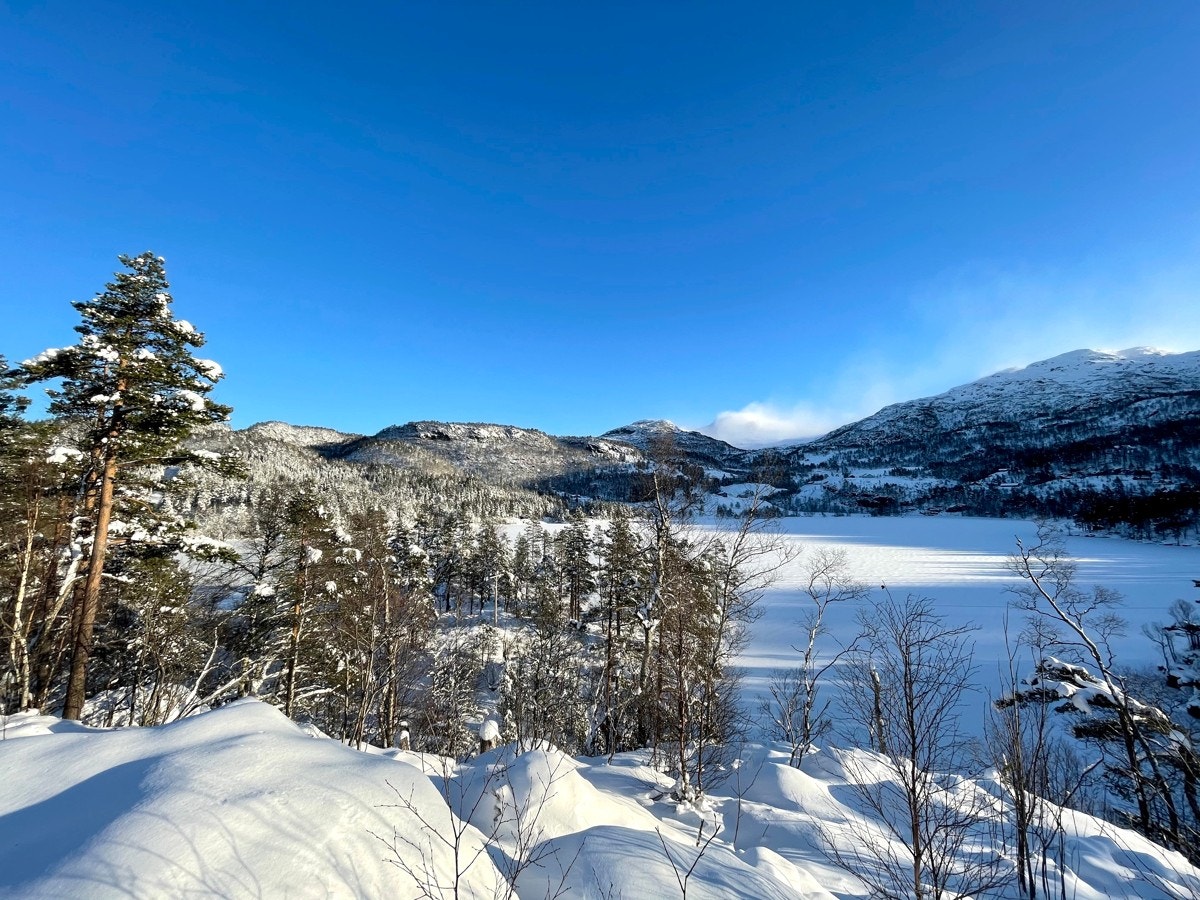 Flotte omgivelser ved Maldalsvatnet Galleribilde