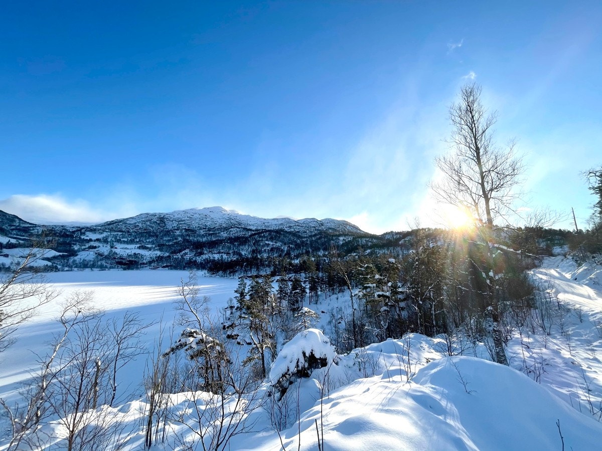 Flotte omgivelser ved Maldalsvatnet Galleribilde