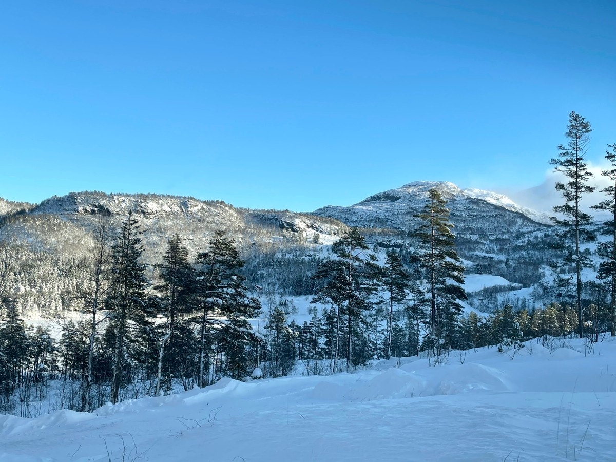 Flotte omgivelser ved Maldalsvatnet Galleribilde